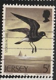[Seabirds, type CR]