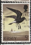 [Seabirds, type CR]