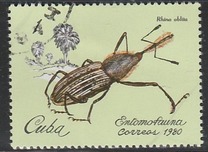 [Insects, 类型 CZI]