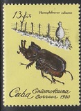 [Insects, 类型 CZN]