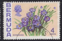[Flowers, Tüüp EE]