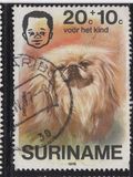 [Child Welfare - Pet Dogs, type AHD]