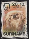 [Child Welfare - Pet Dogs, type AHD]