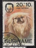 [Child Welfare - Pet Dogs, type AHD]
