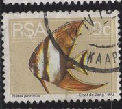 [Flora and Fauna, type NN]