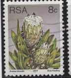 [Flora - Protea Plants, тип PN]