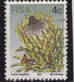 [Flora - Protea Plants, тип PJ]