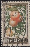 [Fruits of the Land, 类型 CN]