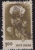 [Agriculture, type XR]