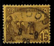 [Local Motives, type F14]