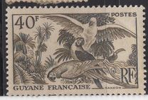 [Local Motives, type BM1]