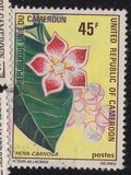[Flowers, type OB]