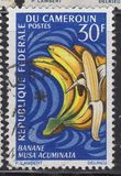 [Frutti della terra - Tipografia: Delrieu, Paris - Dis. e Inc.: Pierrette Lambert, Scrivi HI]