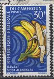 [Frutti della terra - Tipografia: Delrieu, Paris - Dis. e Inc.: Pierrette Lambert, Scrivi HI]