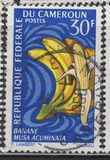 [Frutti della terra - Tipografia: Delrieu, Paris - Dis. e Inc.: Pierrette Lambert, Scrivi HI]