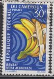 [Frutti della terra - Tipografia: Delrieu, Paris - Dis. e Inc.: Pierrette Lambert, Scrivi HI]