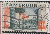 [Banana Production, type BV]