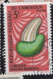 [Frutti della terra - Tipografia: Delrieu, Paris - Dis. e Inc.: Pierrette Lambert, Scrivi HC]
