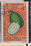 [Frutti della terra - Tipografia: Delrieu, Paris - Dis. e Inc.: Pierrette Lambert, Scrivi HD]