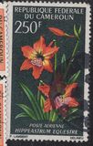 [Flowers, jenis HL]