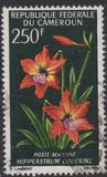 [Flowers, jenis HL]