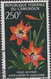 [Flowers, jenis HL]