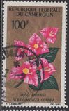 [Flowers, type FO]