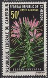 [African Climbing Plants, type KP]