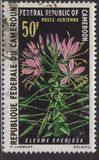 [African Climbing Plants, type KP]