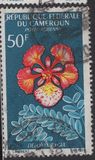 [Flowers, type FN]