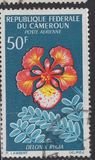 [Flowers, type FN]