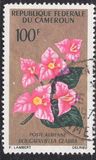 [Flowers, type FO]