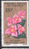 [Flowers, type FO]