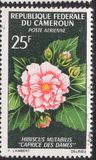 [Flowers, type FM]