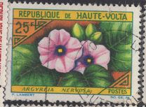 [Flowers, type BJ]
