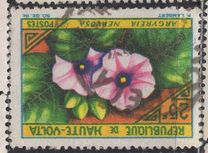 [Flowers, type BJ]