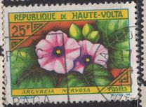 [Flowers, type BJ]