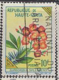 [Flowers, type BH]