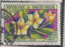[Flowers, type BM]