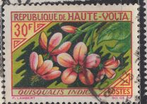 [Flowers, type BK]