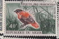 [Birds, type IP]