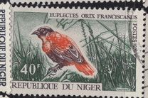 [Birds, type IP]