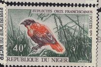 [Birds, type IP]