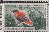 [Birds, type IP]