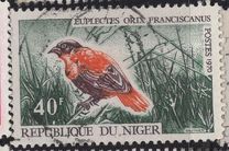 [Birds, type IP]