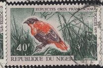 [Birds, type IP]