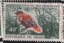 [Birds, type IP]