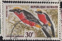 [Birds, Вид EH]