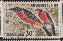 [Birds, Вид EH]