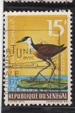 [Birds, type HE]